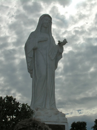 129.jpg