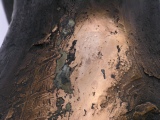 117.jpg